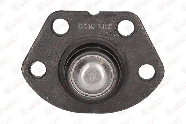 Šarnyras / girgždukas BIRTH CX0047