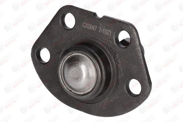 Šarnyras / girgždukas BIRTH CX0047