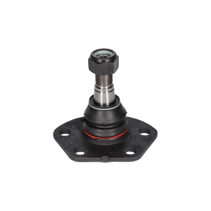 Šarnyras / girgždukas BIRTH CX0048