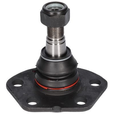 Šarnyras / girgždukas BIRTH CX0048