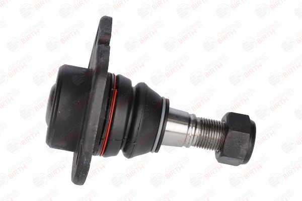 Šarnyras / girgždukas BIRTH CX0048