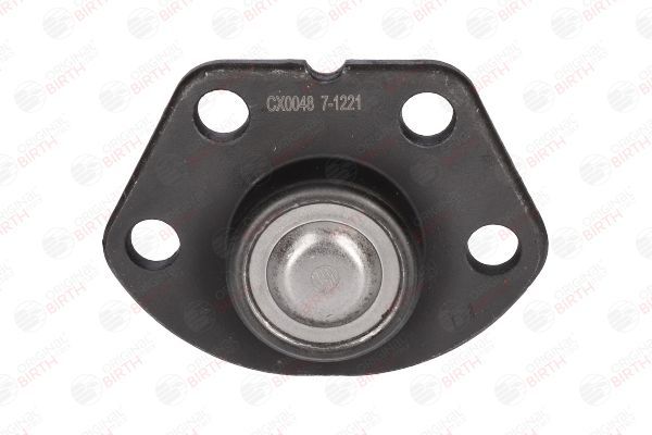 Šarnyras / girgždukas BIRTH CX0048