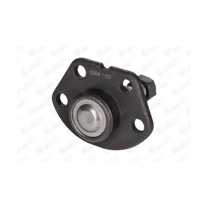 Šarnyras / girgždukas BIRTH CX0048