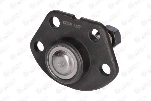 Šarnyras / girgždukas BIRTH CX0048