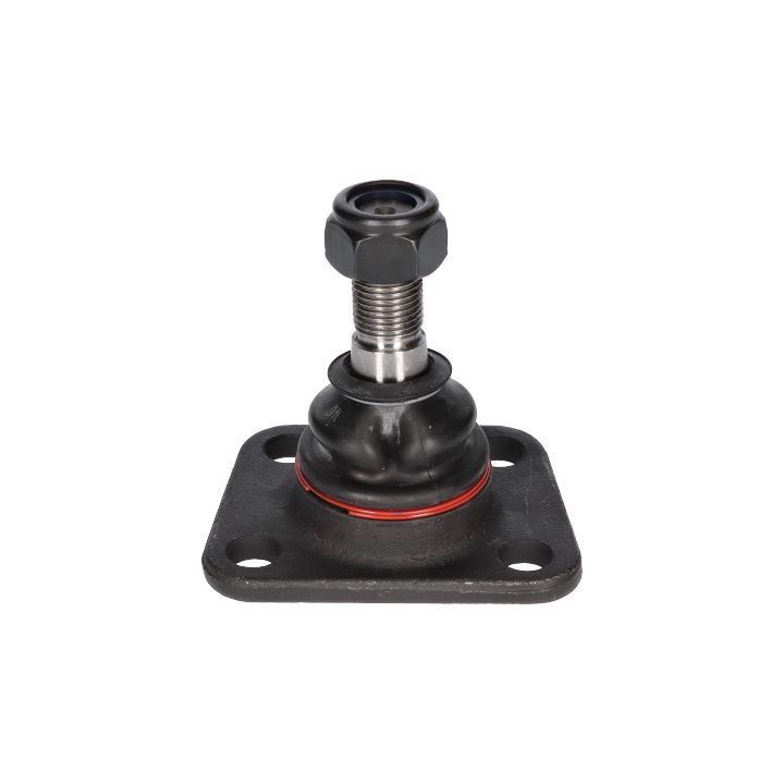 Šarnyras / girgždukas BIRTH CX0096