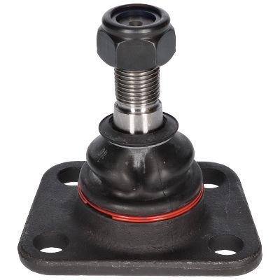 Šarnyras / girgždukas BIRTH CX0096