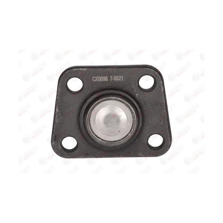 Šarnyras / girgždukas BIRTH CX0096