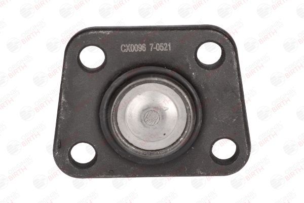 Šarnyras / girgždukas BIRTH CX0096