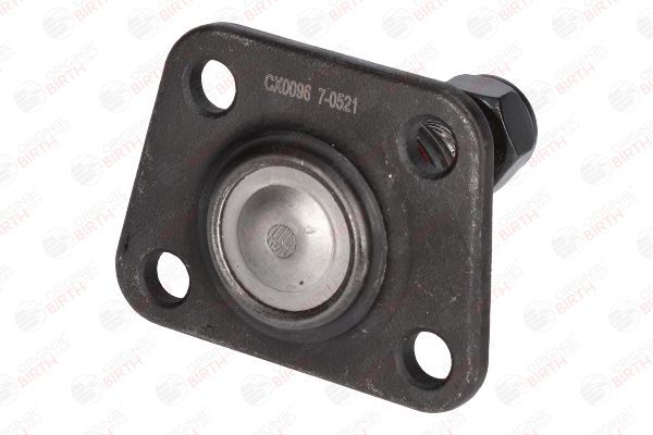 Šarnyras / girgždukas BIRTH CX0096