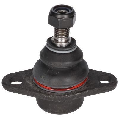 Šarnyras / girgždukas BIRTH CX0103