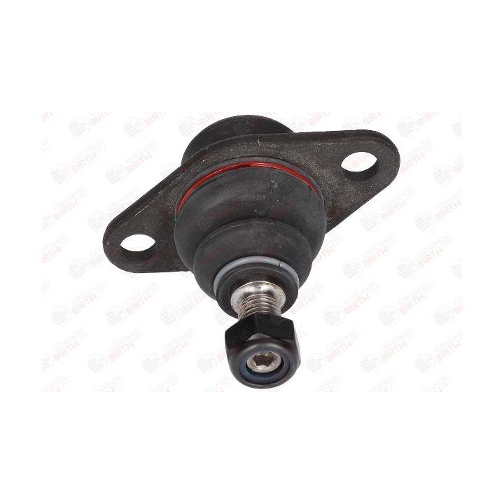 Šarnyras / girgždukas BIRTH CX0103