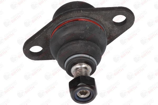 Šarnyras / girgždukas BIRTH CX0103