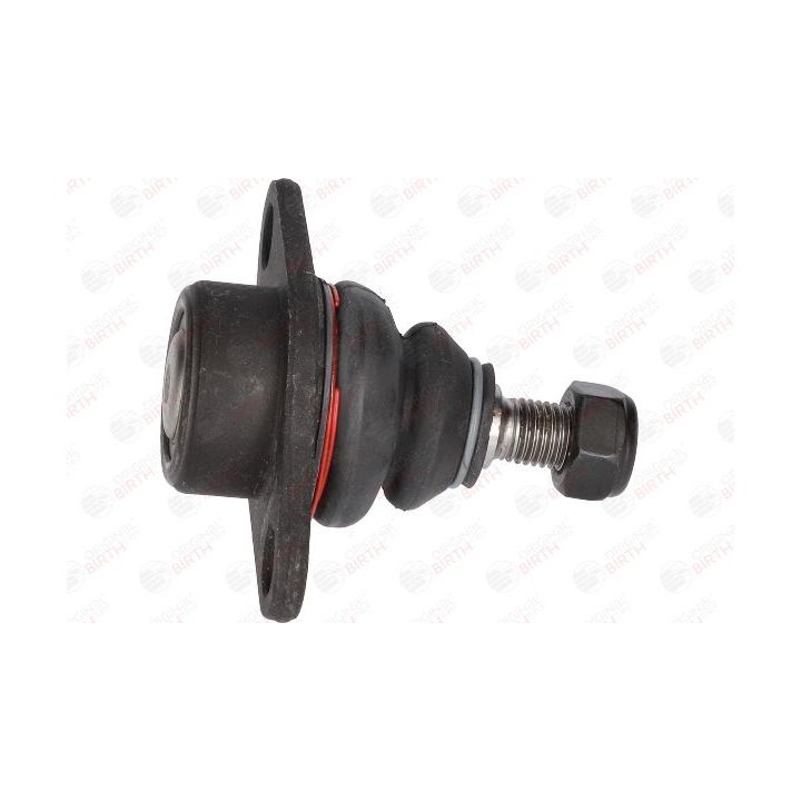 Šarnyras / girgždukas BIRTH CX0103