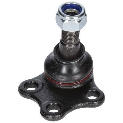 Šarnyras / girgždukas BIRTH CX0104