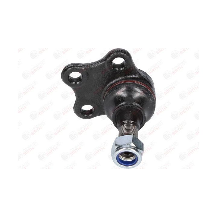 Šarnyras / girgždukas BIRTH CX0104