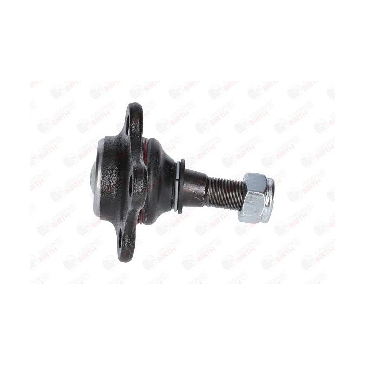 Šarnyras / girgždukas BIRTH CX0104