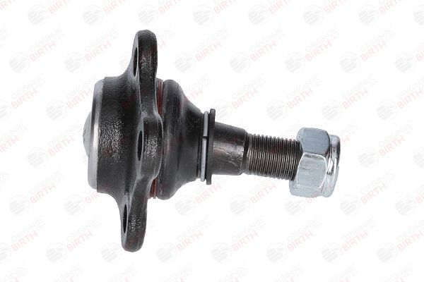 Šarnyras / girgždukas BIRTH CX0104