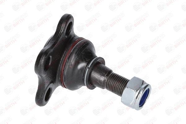 Šarnyras / girgždukas BIRTH CX0104