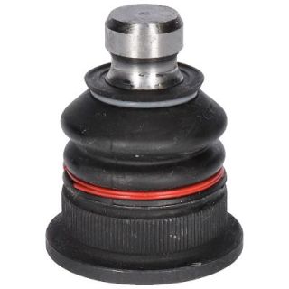 Šarnyras / girgždukas BIRTH CX0106