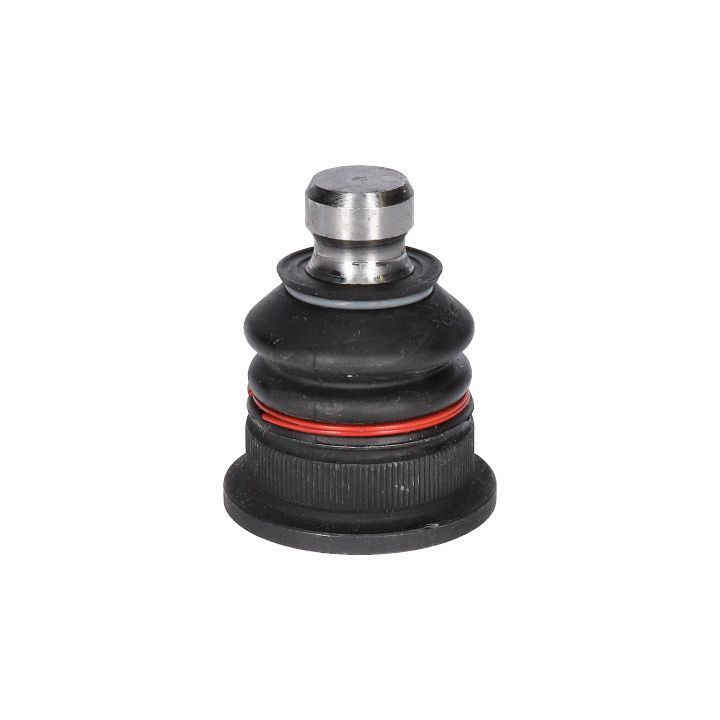 Šarnyras / girgždukas BIRTH CX0106