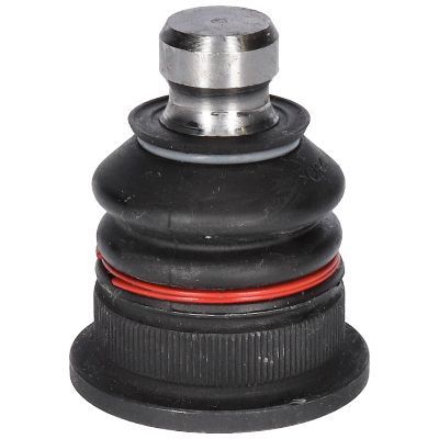 Šarnyras / girgždukas BIRTH CX0106