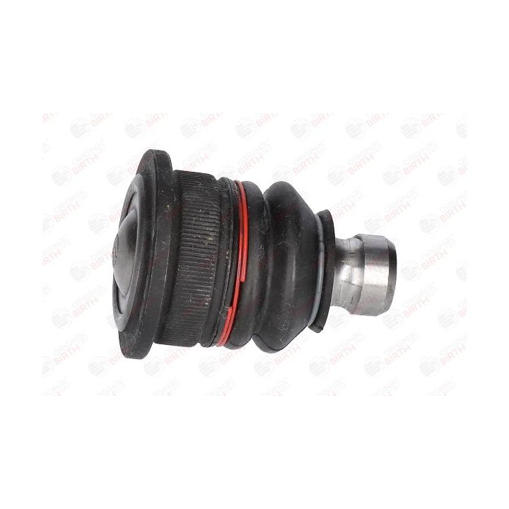 Šarnyras / girgždukas BIRTH CX0106