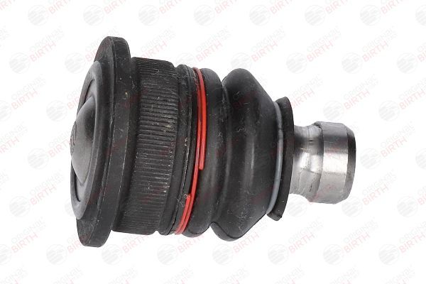 Šarnyras / girgždukas BIRTH CX0106