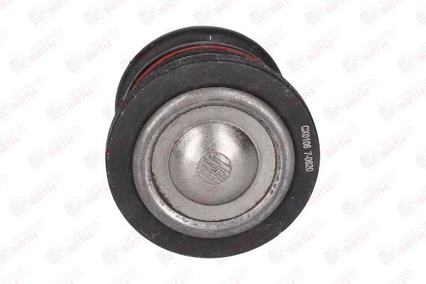 Šarnyras / girgždukas BIRTH CX0106