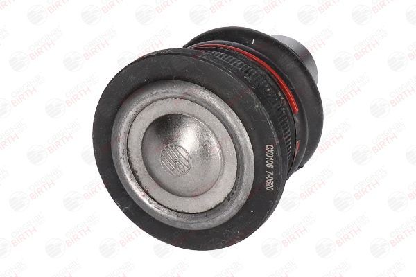 Šarnyras / girgždukas BIRTH CX0106