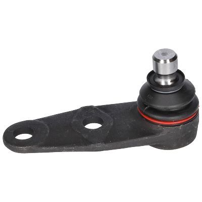 Šarnyras / girgždukas BIRTH CX0107