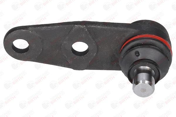 Šarnyras / girgždukas BIRTH CX0107