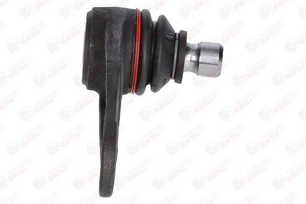 Šarnyras / girgždukas BIRTH CX0107