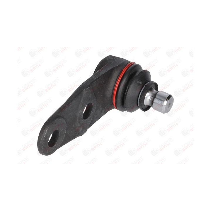 Šarnyras / girgždukas BIRTH CX0107