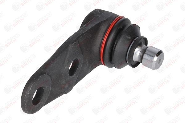 Šarnyras / girgždukas BIRTH CX0107