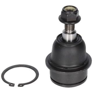 Šarnyras / girgždukas BIRTH CX0108