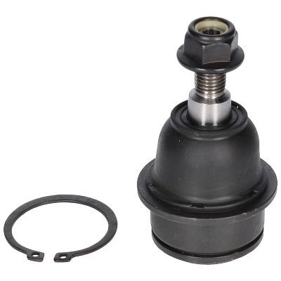 Šarnyras / girgždukas BIRTH CX0108