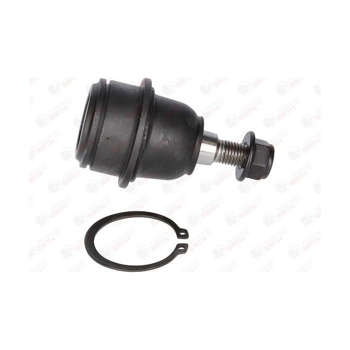 Šarnyras / girgždukas BIRTH CX0108