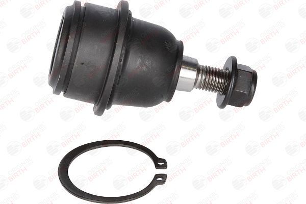 Šarnyras / girgždukas BIRTH CX0108