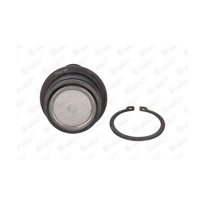 Šarnyras / girgždukas BIRTH CX0108