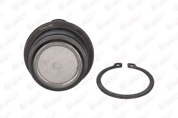 Šarnyras / girgždukas BIRTH CX0108