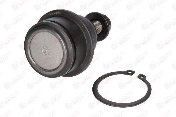 Šarnyras / girgždukas BIRTH CX0108