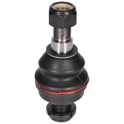 Šarnyras / girgždukas BIRTH CX0109