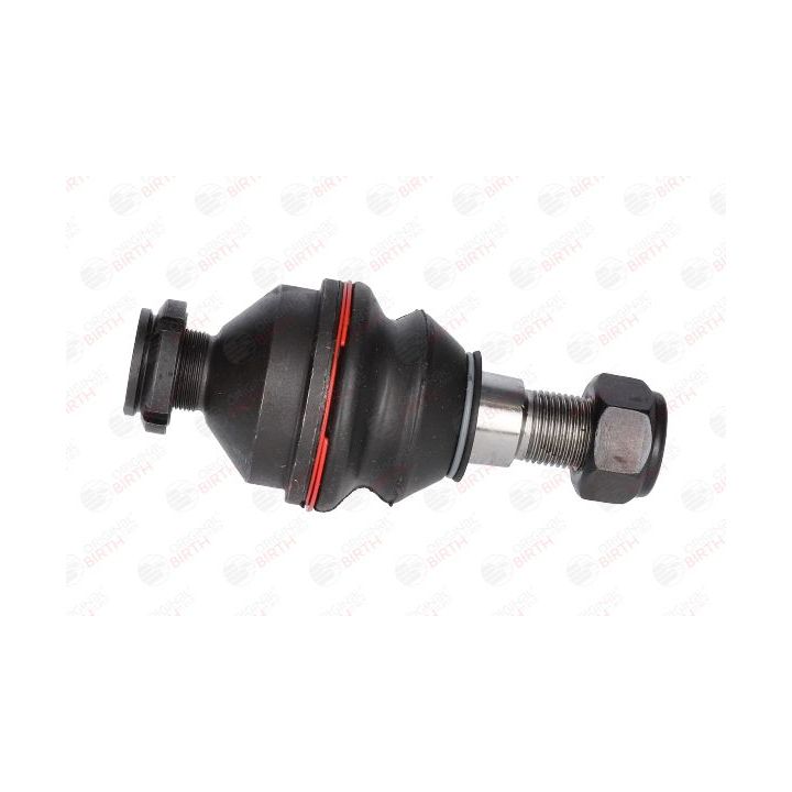 Šarnyras / girgždukas BIRTH CX0109