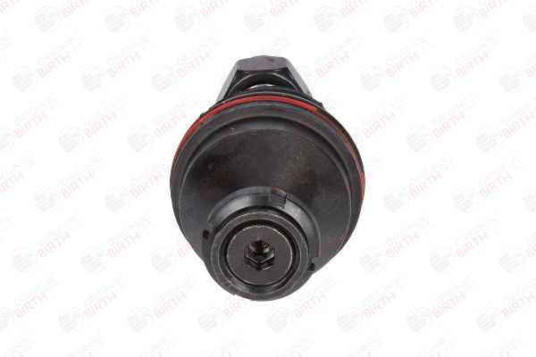 Šarnyras / girgždukas BIRTH CX0109