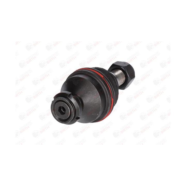 Šarnyras / girgždukas BIRTH CX0109