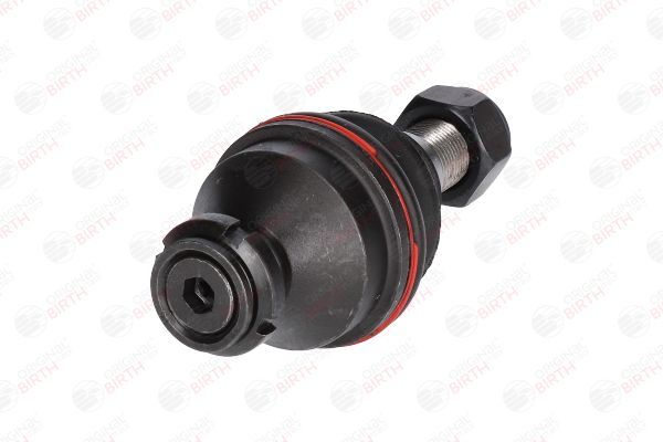 Šarnyras / girgždukas BIRTH CX0109