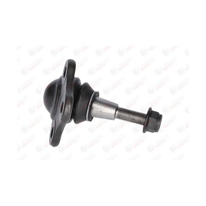 Šarnyras / girgždukas BIRTH CX0114