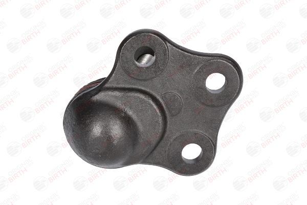 Šarnyras / girgždukas BIRTH CX0114