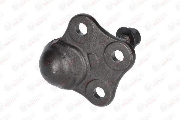 Šarnyras / girgždukas BIRTH CX0114