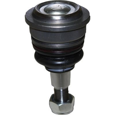 Šarnyras / girgždukas BIRTH CX0119